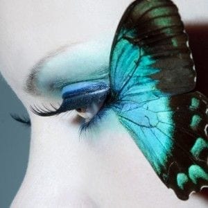 Lee más sobre el artículo La leyenda de la mariposa azul