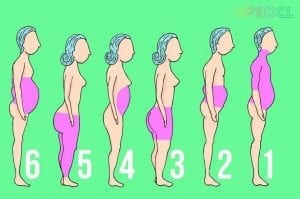 Lee más sobre el artículo Aquí te mostramos qué es lo que significa tu grasa anatómico dependiendo del lugar donde la almacenas